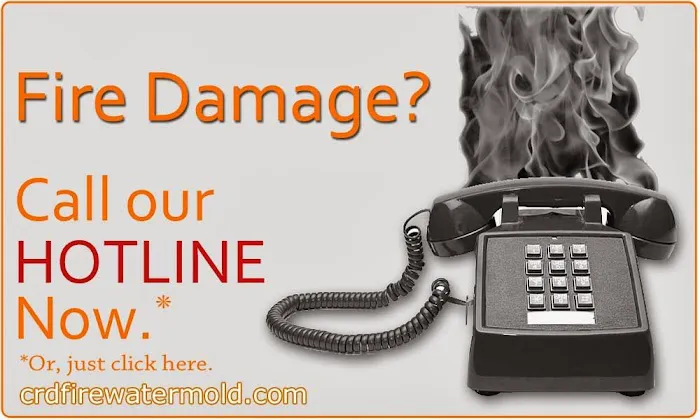 CRD: Mold Fire Water Picture 4