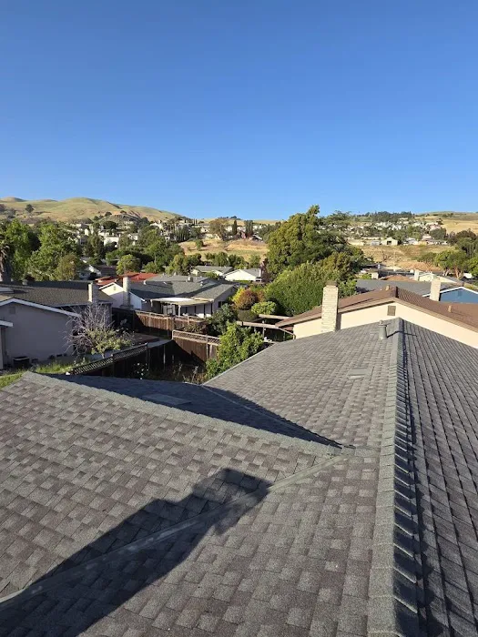 Berman Roof & Leak Repairs Picture 2