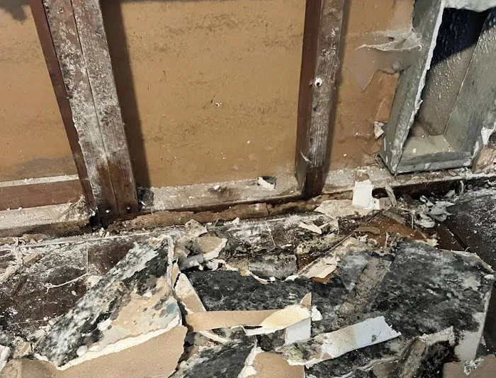 SERVPRO of Blackwood/Gloucester Township Picture 5