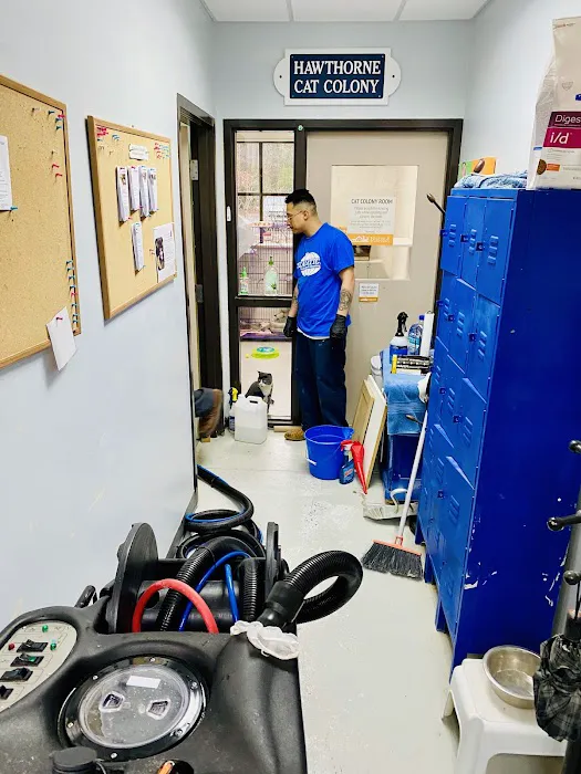 Steamatic of VA Peninsula Picture 4