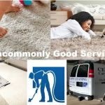 Century Carpet Cleaning