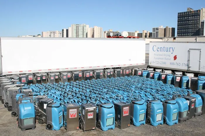 Century Carpet Cleaning Picture 3