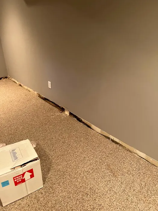 Apex Mold Specialists Picture 2