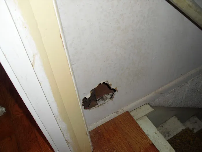 Apex Mold Specialists Picture 8