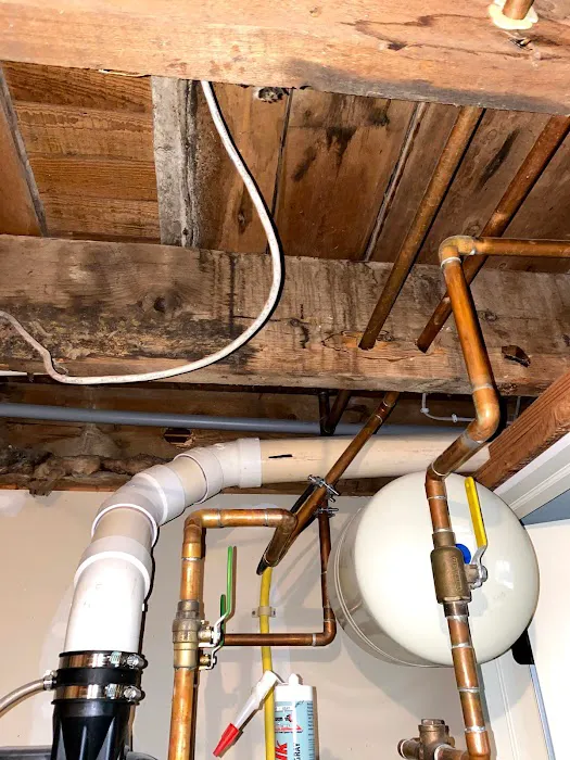 Apex Mold Specialists Picture 7