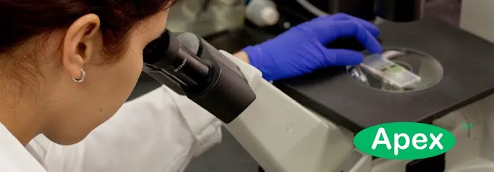 Apex Mold Specialists Picture 3