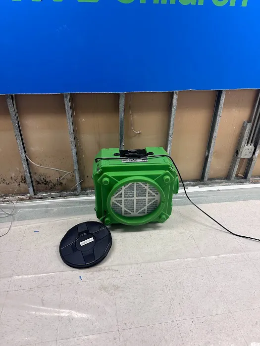 Apex Mold Specialists Picture 9