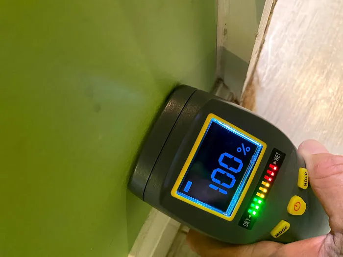 Apex Mold Specialists Picture 1