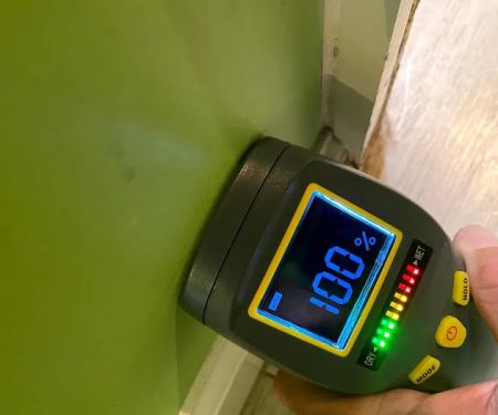 Apex Mold Specialists