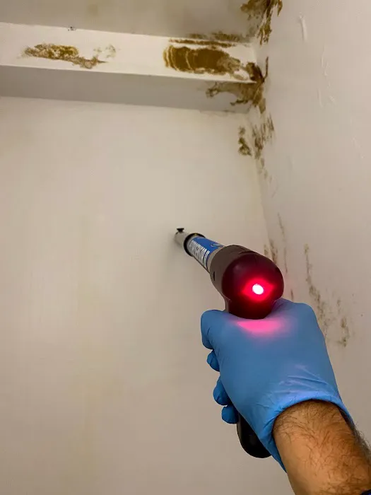 Apex Mold Specialists Picture 10