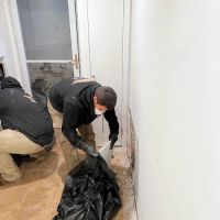 SERVPRO of Forest Hills / Ridgewood ico