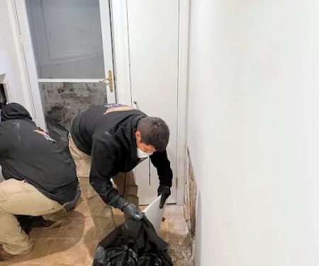 SERVPRO of Forest Hills / Ridgewood