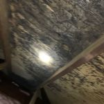 Bold Mold Eliminators LLC