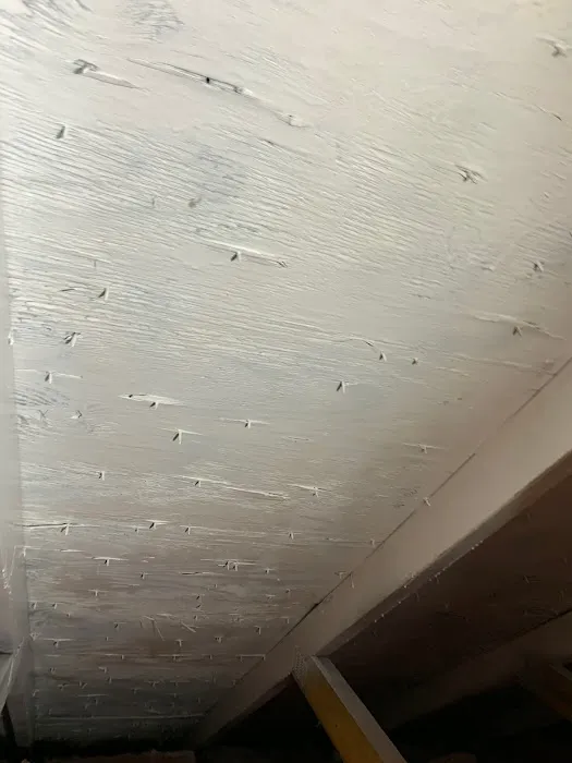 Bold Mold Eliminators LLC Picture 3