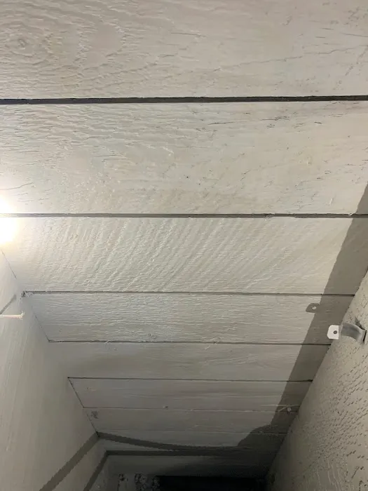 Bold Mold Eliminators LLC Picture 2