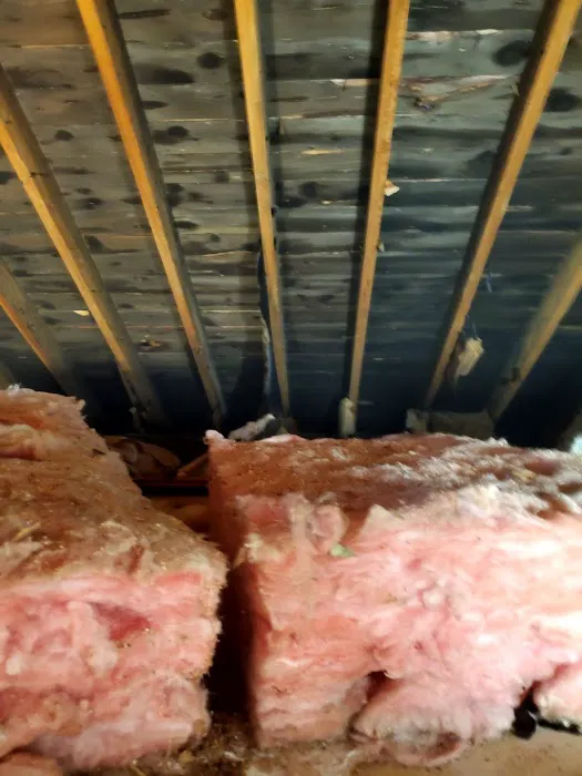 Quality Mold Remediation LLC Picture 10