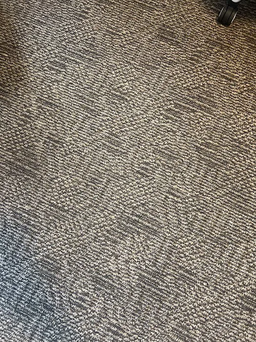 Stanley Steemer Picture 7