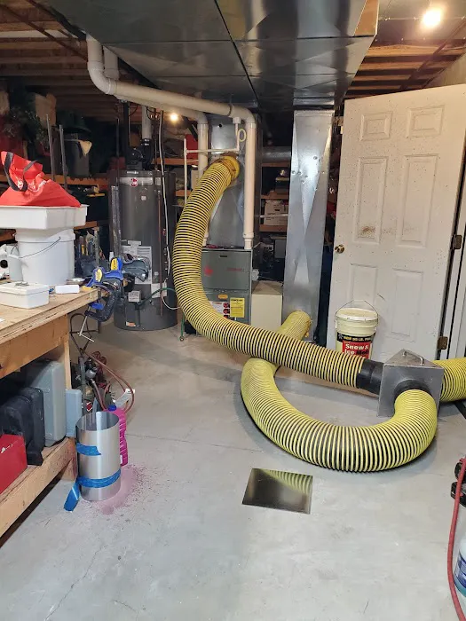 Stanley Steemer Picture 5