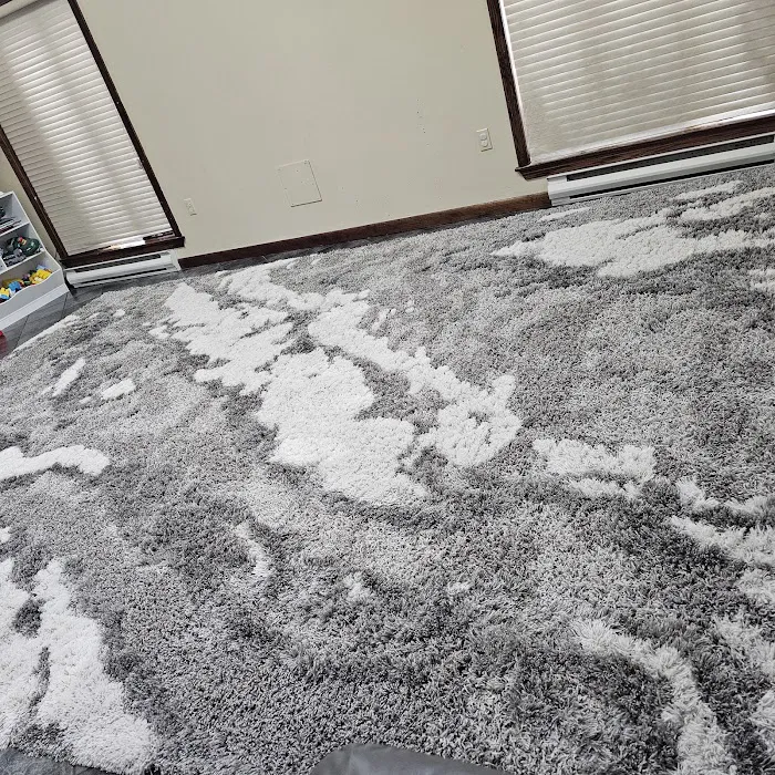 Stanley Steemer Picture 6