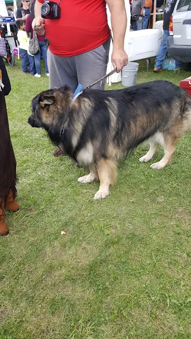 Adirondack Building Services Picture 4