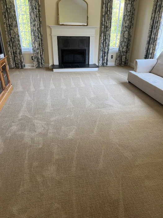 Aviza's Super Clean Picture 1