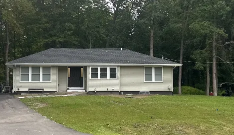 Professional Picture 5