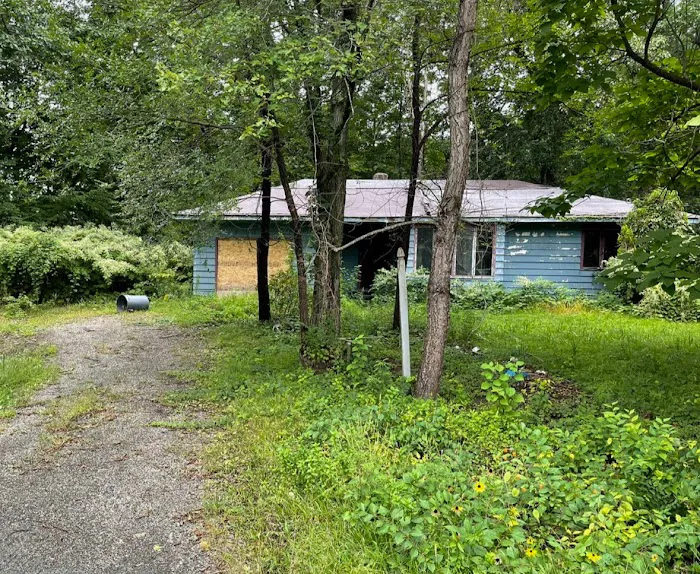 Professional Picture 4