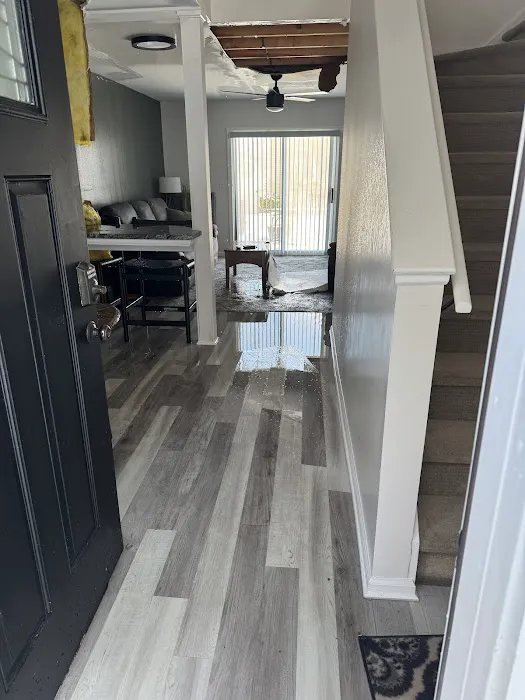 Professional Picture 2