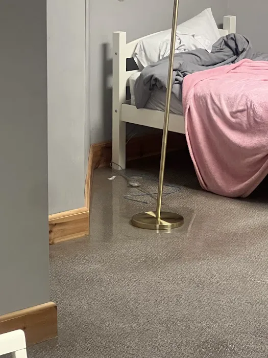 Professional Picture 8