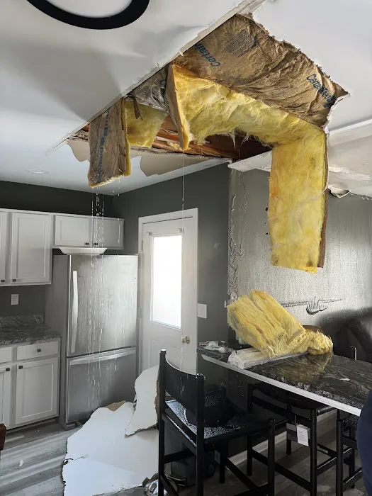 Professional Picture 9