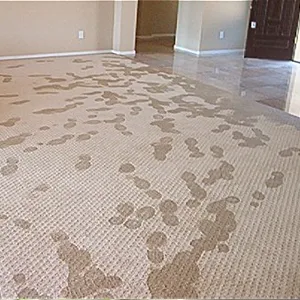 TechEast Inc Picture 1