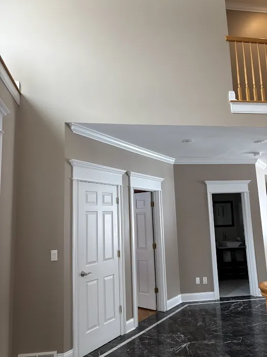 Mala Construction Inc / painting Picture 1