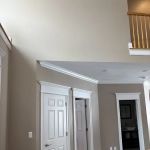 Mala Construction Inc / painting