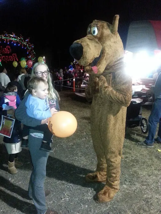 Quick Response Restoration, Inc Picture 8