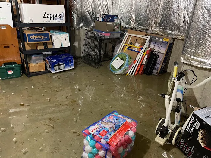 Gforce Restoration, LLC Picture 7