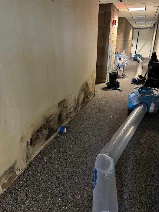 Gforce Restoration, LLC Picture 2