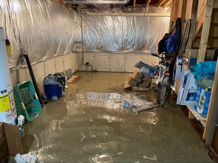 Gforce Restoration, LLC Picture 5