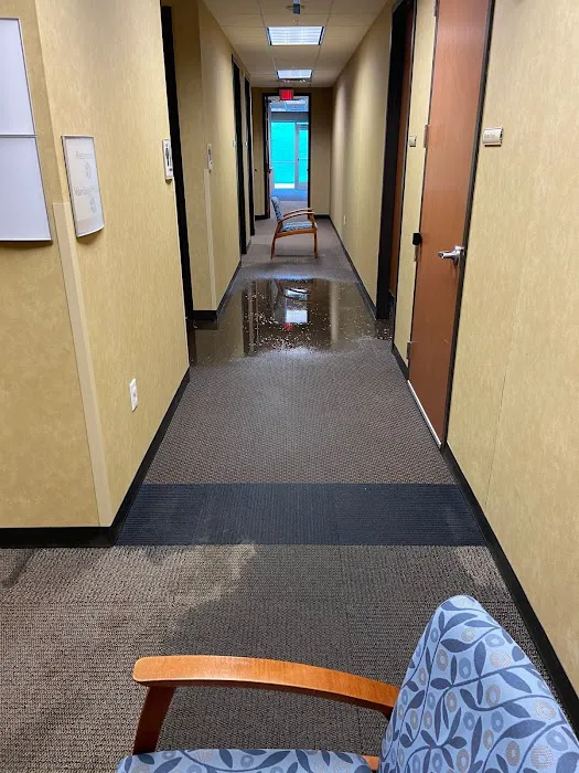 Gforce Restoration, LLC Picture 8