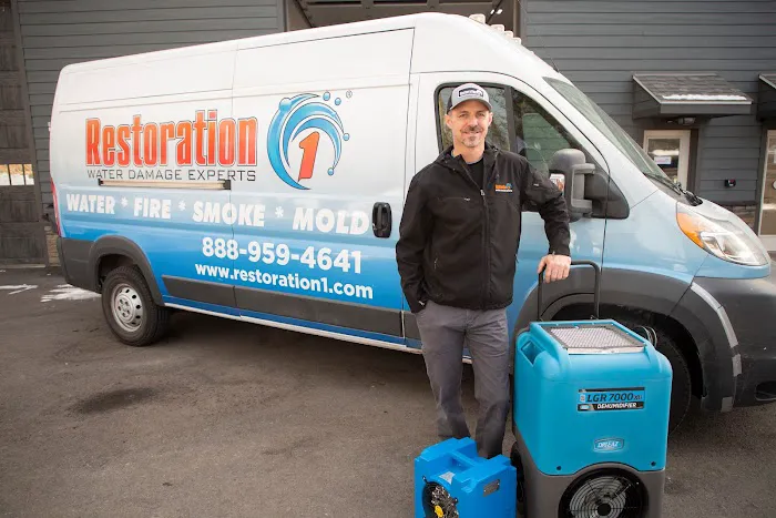 Restoration 1 Picture 5