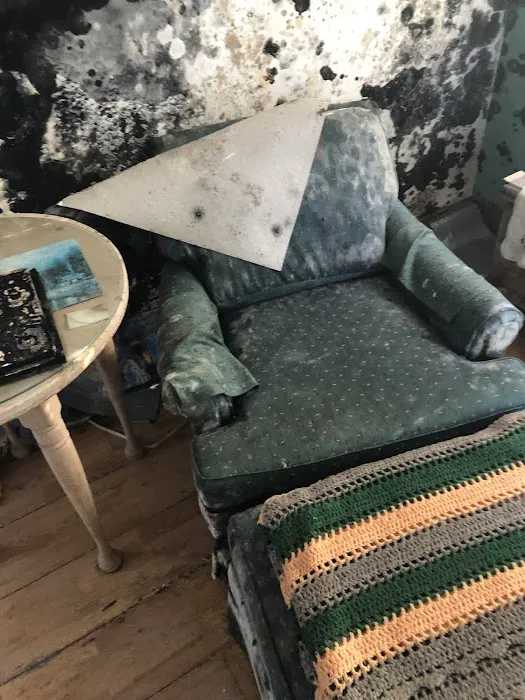 Excelsior Restoration Services Picture 5