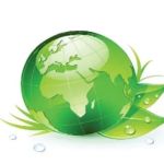 Excelsior Restoration Services