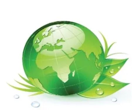 Excelsior Restoration Services