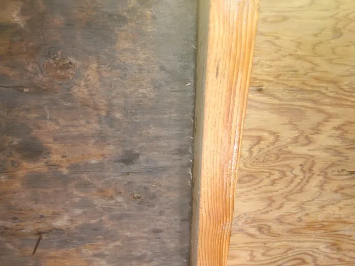 Excelsior Restoration Services Picture 3