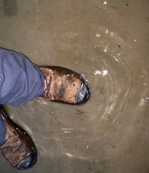 Abate Pro Picture 10