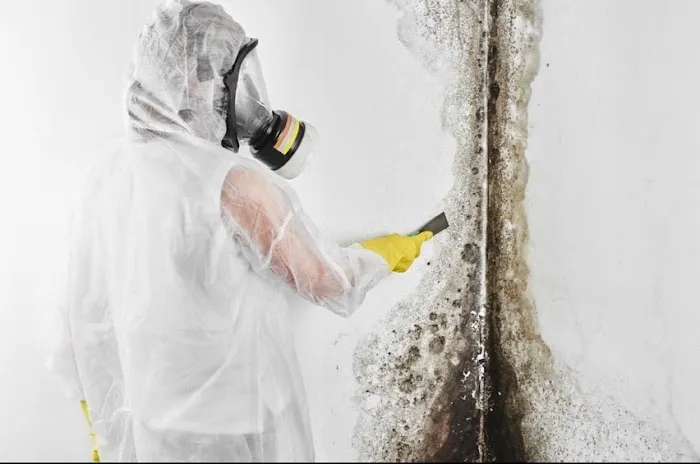 DASO Green Technologies Inc Picture 6