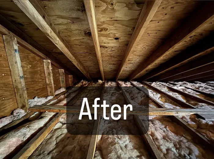 Island Emergency Disaster Restoration Inc Picture 2