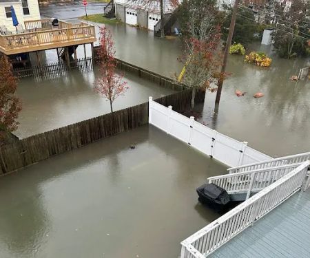 Island Emergency Disaster Restoration Inc