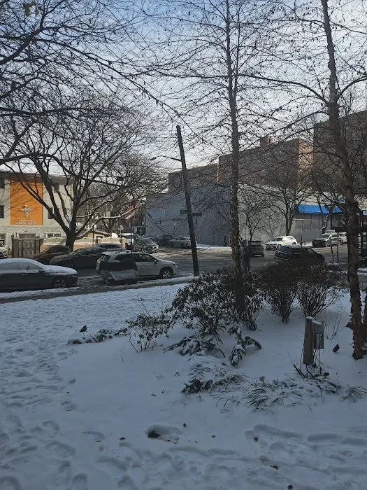 Flooded Basement Queens Picture 8