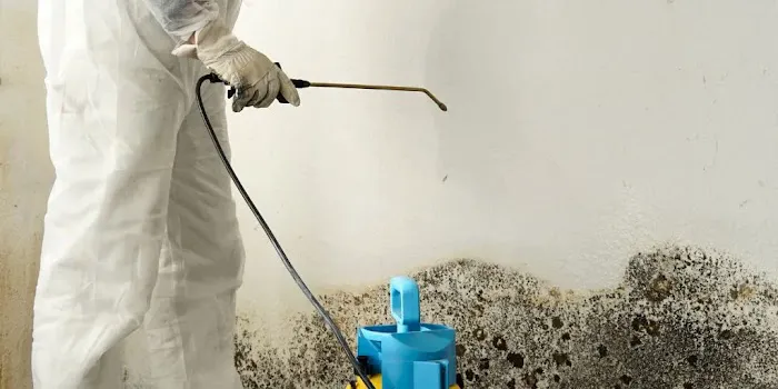 Adams Water Damage Restoration Services Picture 8