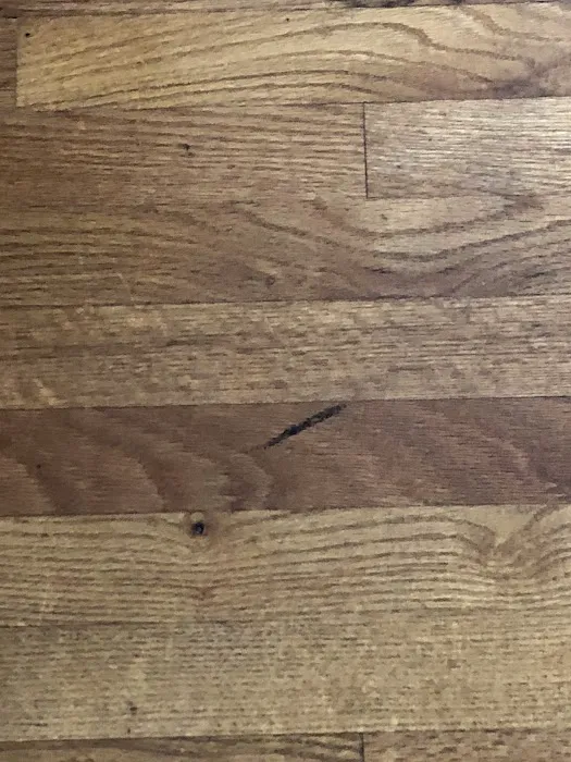 Stanley Steemer Picture 6